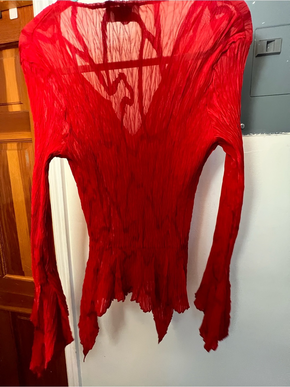 Red Sheer Ruffled Blouse - Picture 3 of 4